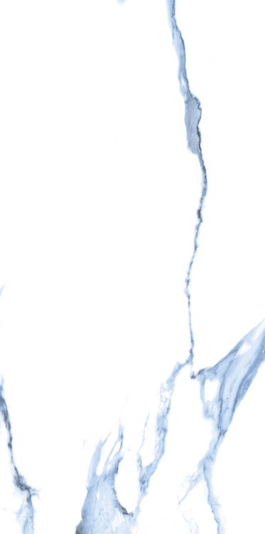 Calacatta Blue Matte 12 x 24